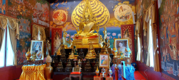 IMG-20230617-WA0002